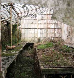 The moving of the greenhouse.