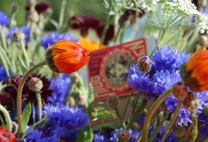 Flower Seeds To Sow In September