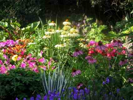 Choosing Perennials For The Higgledy Garden