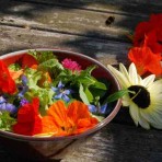 Edible Flower Collection.