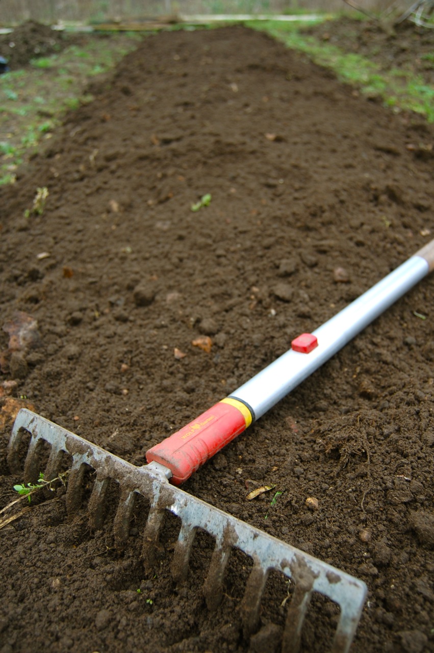 Preparing Cut Flower Beds Higgledy Garden