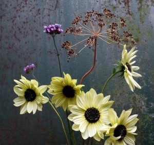 Dried dill