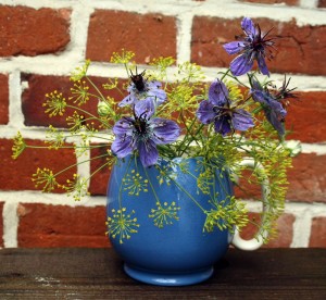 Fennel nigella dill
