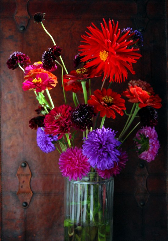 Zinnia, the cut flower Higgledy Garden