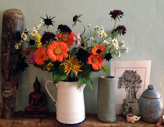 Tithonia vase