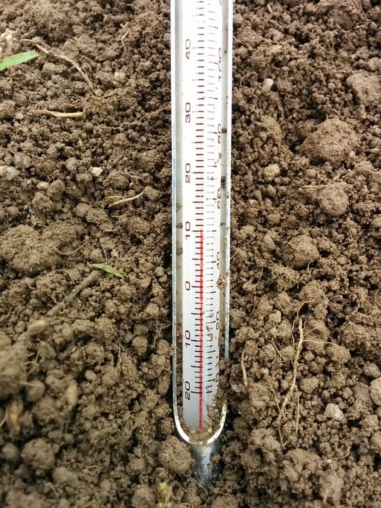 Very warm soil for the time of year....though cold weather forecast next week.