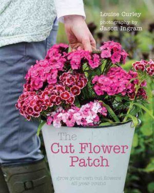 The-Cut-Flower-Patch-Louise-Curley-1