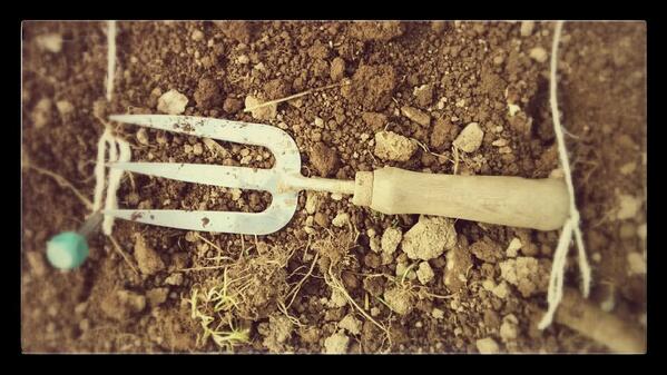 A trowel is usually about a foot long...so you can use it for spacing rows. (God I'm good)