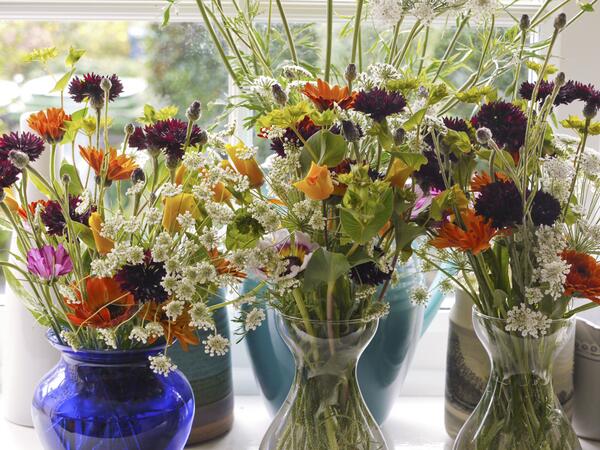 Lovely photo from Kathy (X)...Black Ball cornflowers looking amazing amongst the rest of the fab flowers.
