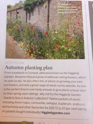 Thx to The Garden Gate Flower Company for the image.