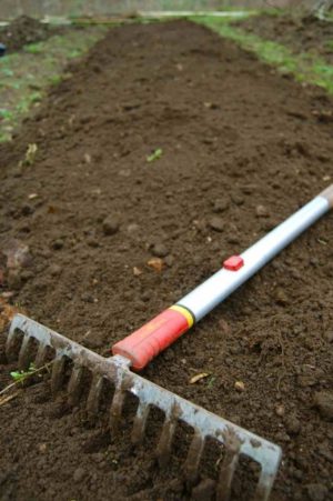 A heavy rake will help you bring your soil to order.