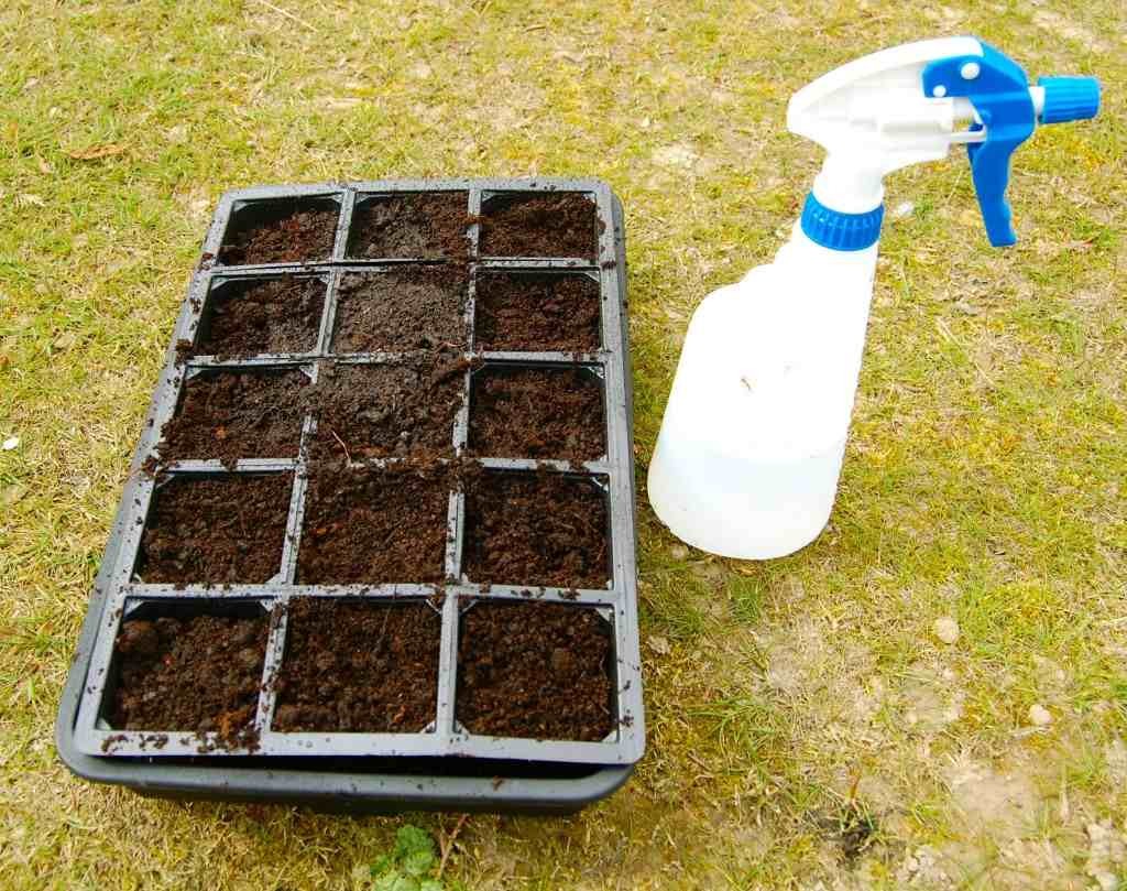 In the old days I used to sow in modular trays like these which is fine...but now I use pots of the same dimensions and I can reuse them and by doing so I can save the world and impress girls.