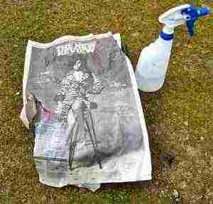Cover the tray with a single sheet of newspaper...preferably one with the graven image of a lost rock star.