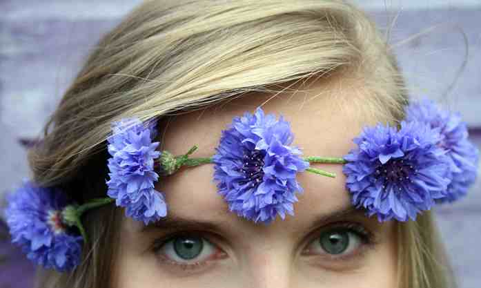 cornflowers-blue-eyes