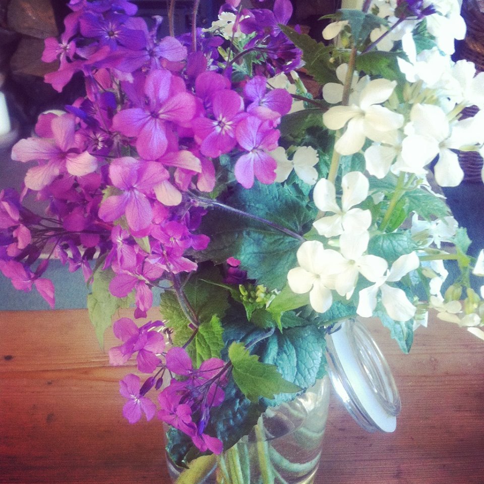 @naturalflavours has already managed to get some in a vase. 234 extra points!