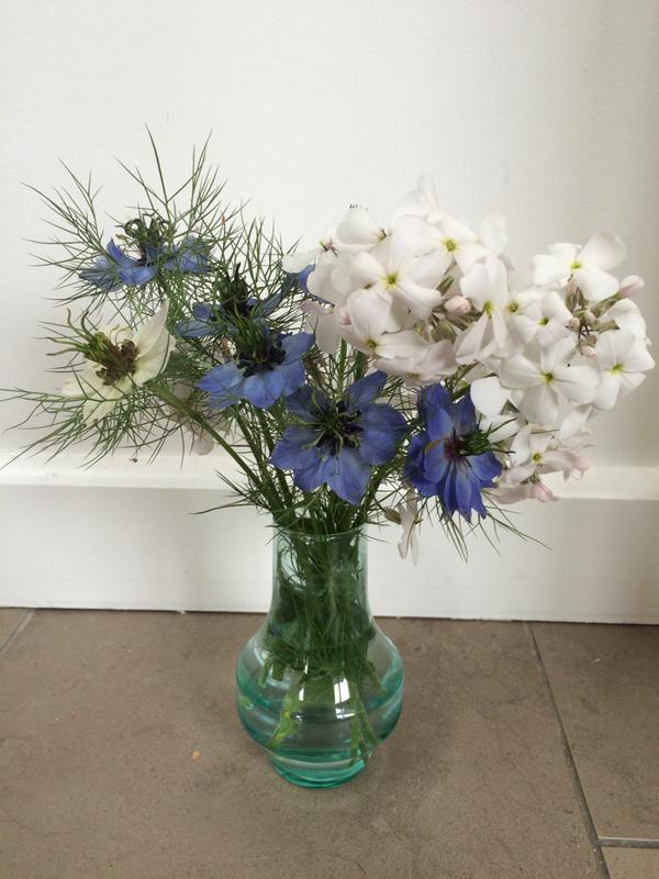 Lovely and simple little combo from @bessybrad (Twitter). Nigella and Hesperis.