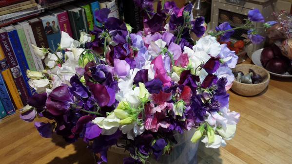 More Sweet Pea action from the rabble at Glebe Field Allotments.