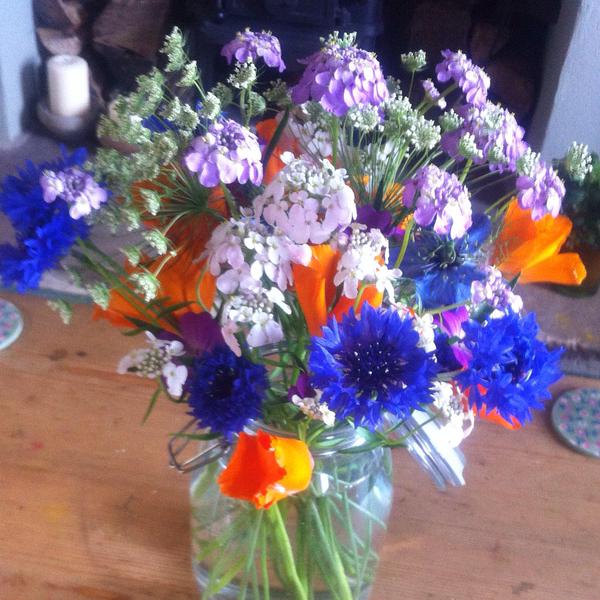 Early Summer action...from @Naturalflavours (Twitter)...the lilac coloured flower is Candytuft 'Crown'. 