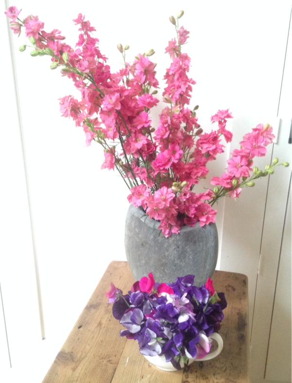 Larkspur looking spanking gorgeous...from the lovely @theremaybebugs