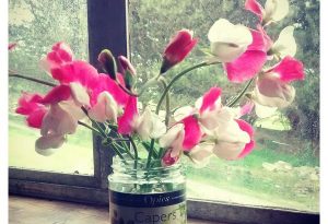 Sweet Peas in a capers jar...and the award for most middle class chap in the south west goes to....