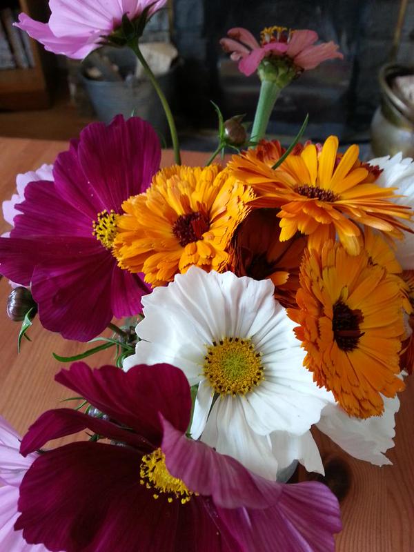 Simple things...Cosmos & Calendula...fab little posy from @MichelleHole1