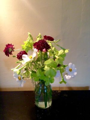 Thx to @LucieHyndley for this double ace pic of Scabiosa 