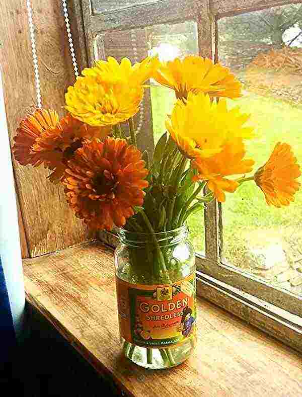 Sowing up a cut flower patch in May.