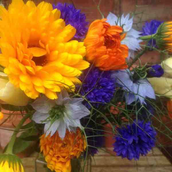 These beauties were grown by Lisa P...my fav combo...the Nigella and Cornflowers look delicious...and...as it happens...all edible.