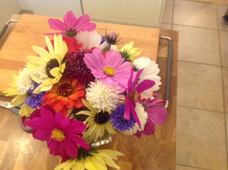Good ole Mandy Wright causing some floral chaos with this mixed bunch...something for everyone in this lot. :)