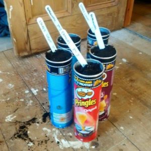 Sowing into Pringles tubes makes you look young and funky and like someone who could tell you what is number one in the hit parade.