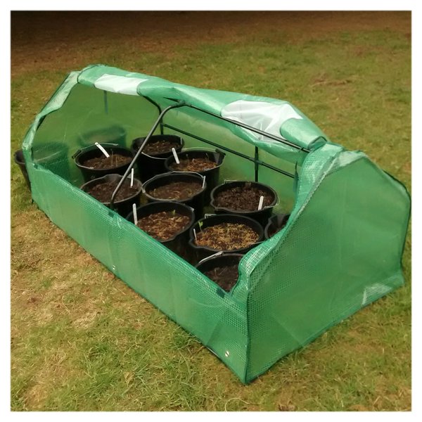 This little seedling tunnel was £30...very handy.