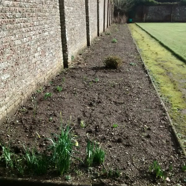 One of the beds in the main quadrangle.