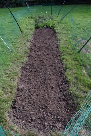 Well weeded bed with Stirling bunny fencing.