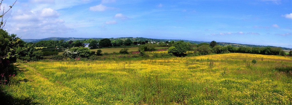 The field adjacent to mine with views over the county.