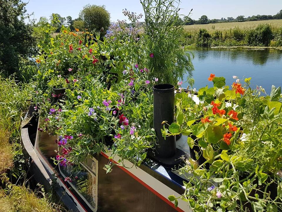 Resurected vintage post. Boat Garden. July 2018