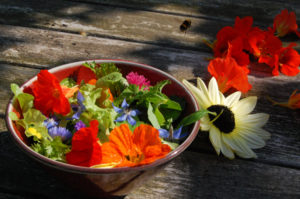 Growing edible flowers in your cutting patch.