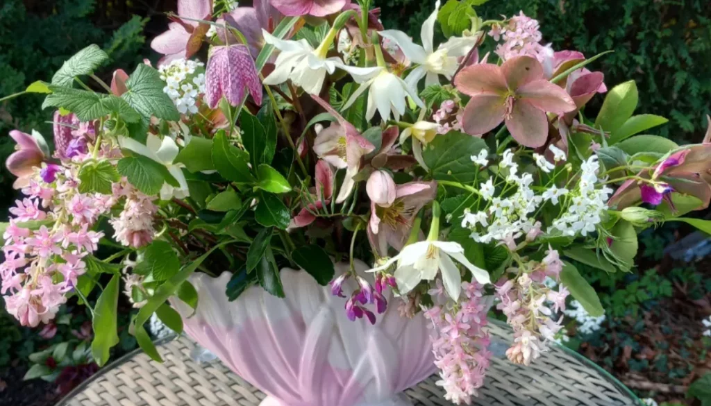 What to grow in your new cutting patch What to grow in your new cutting patch