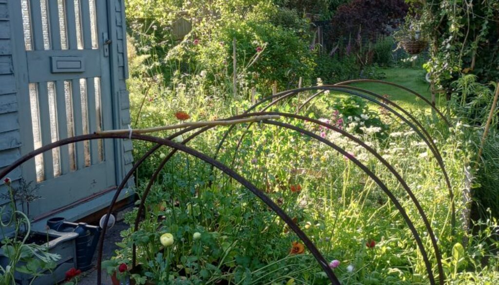 New Years resolution to start a new cutting patch? New Years resolution to start a new cutting patch?