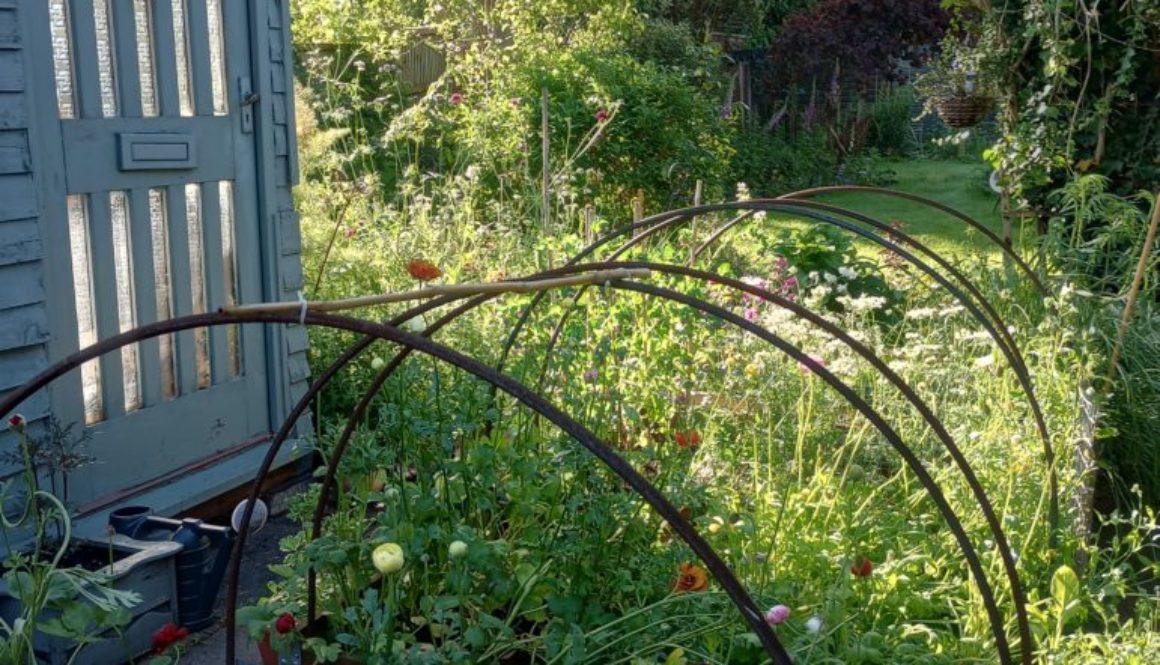 New Years resolution to start a new cutting patch?