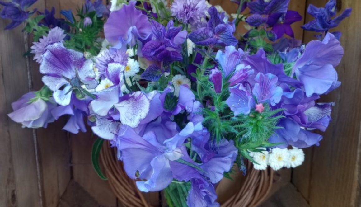 Some beautiful blues