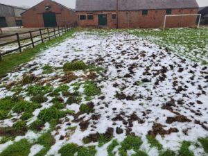 The Willow Farm flower patch. January.