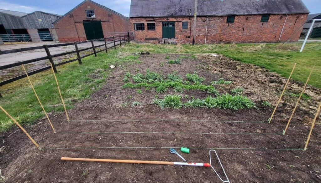 How and when to direct sow annual flower seeds into the ground.