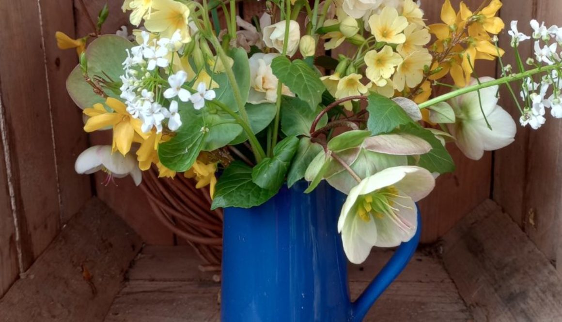 What to sow in April