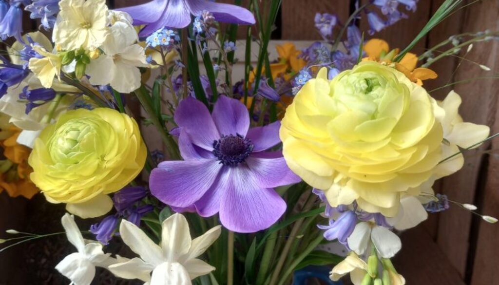 May Blooms and cutting garden news May Blooms and cutting garden news
