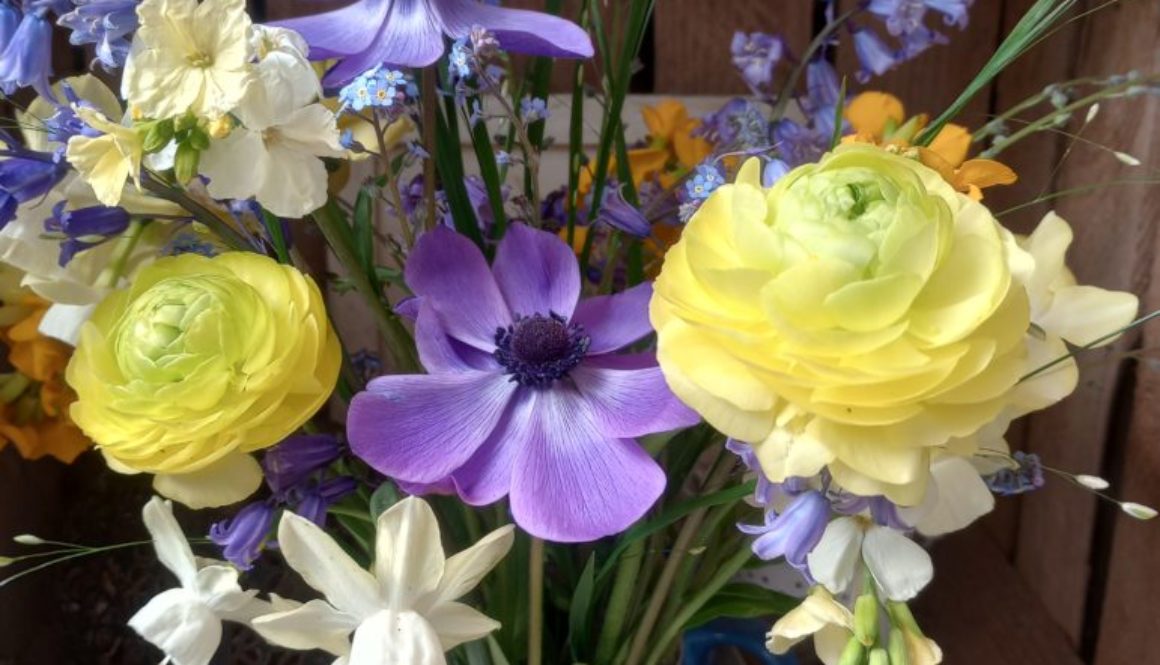 May Blooms and cutting garden news