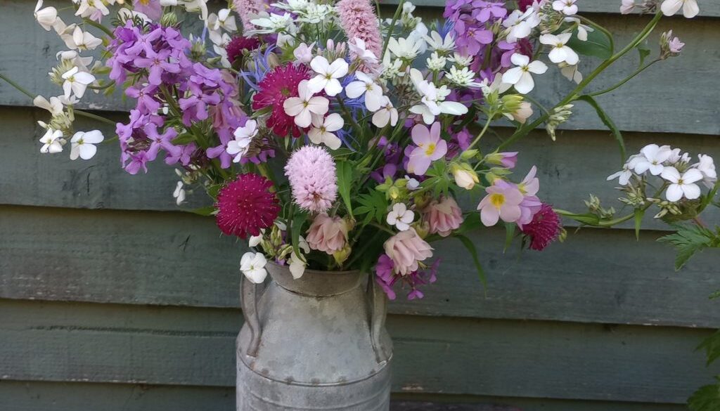 Joyful June in the cutting garden Joyful June in the cutting garden