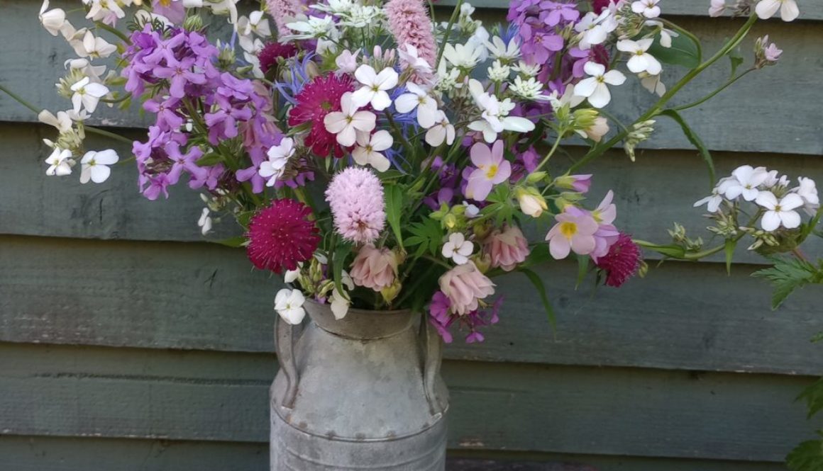 Joyful June in the cutting garden