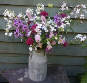 Joyful June in the cutting garden