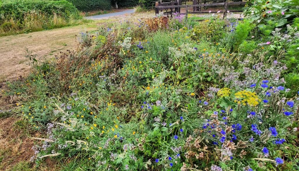“Chop and Drop” in the Cutting Patch