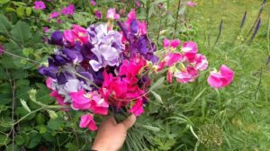 IMG_20220626_103140438